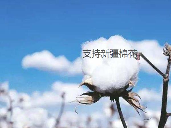 草莓视频性福宝阀门